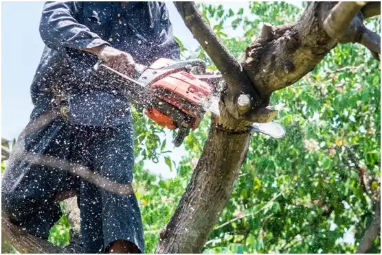 tree services Monroeville